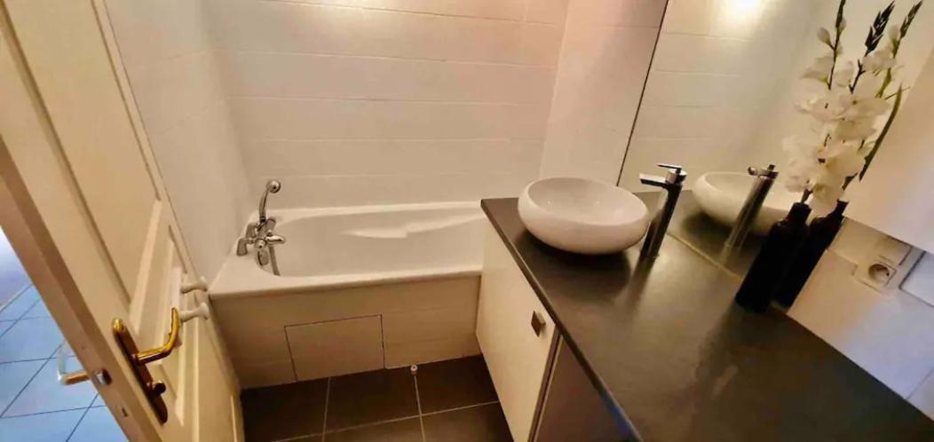 Tichnich Appartement - 2 Bedrooms - 1 Min Away From Train Station Annemasse Extérieur photo