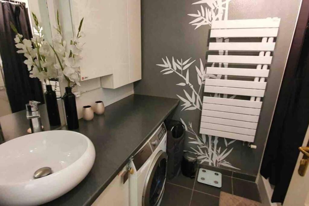 Tichnich Appartement - 2 Bedrooms - 1 Min Away From Train Station Annemasse Extérieur photo